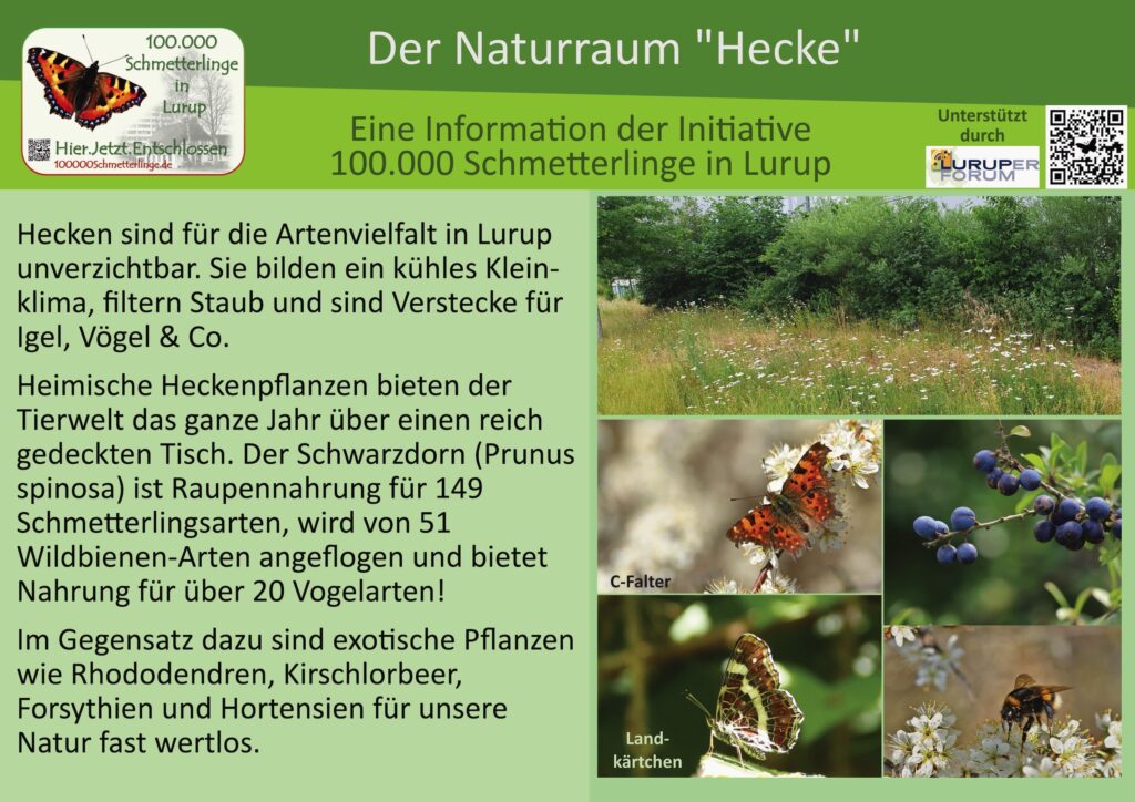 10: Die Hecke