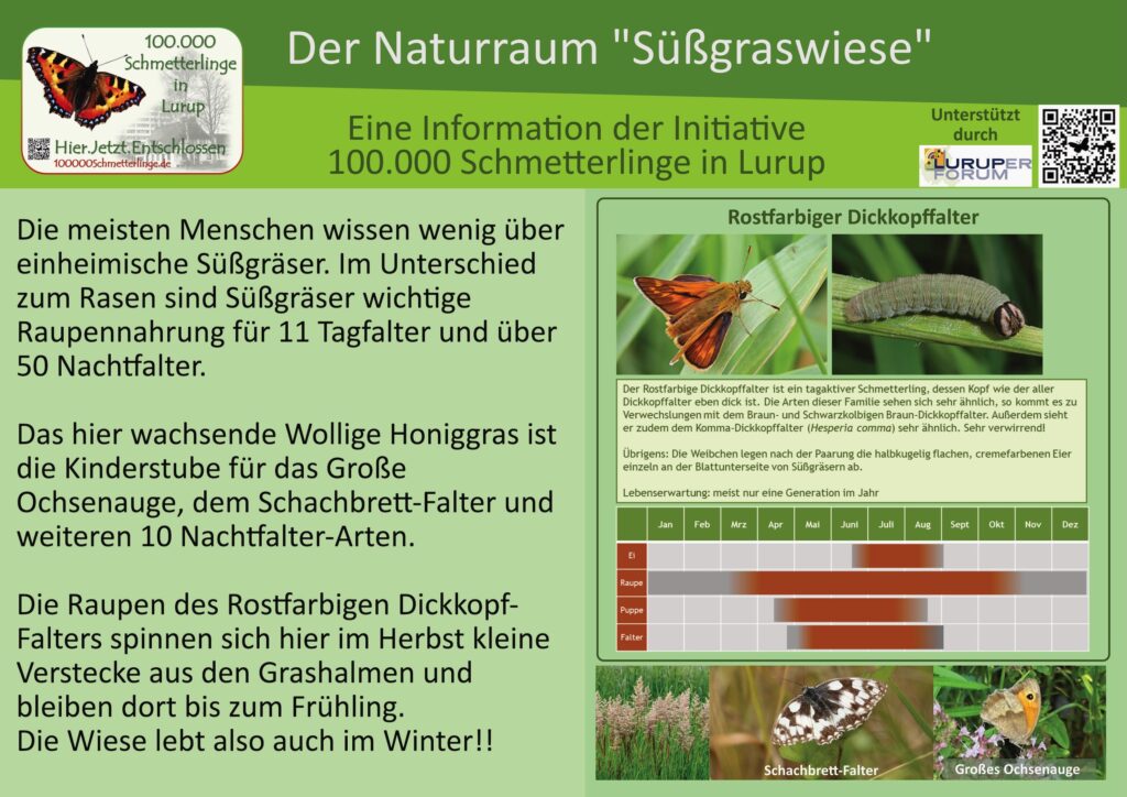 13: Die Süßgraswiese