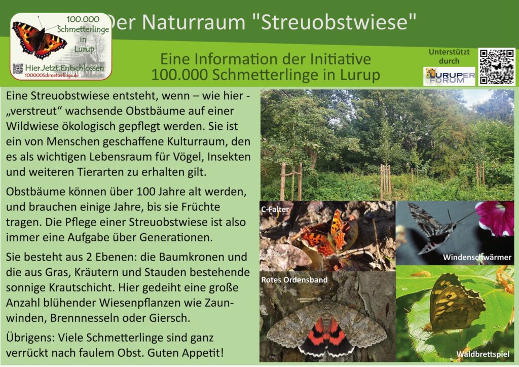 14: Die Streuobstwiese