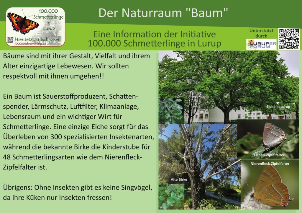 2: Der Baum