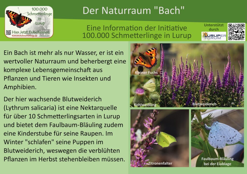20: Der Bach