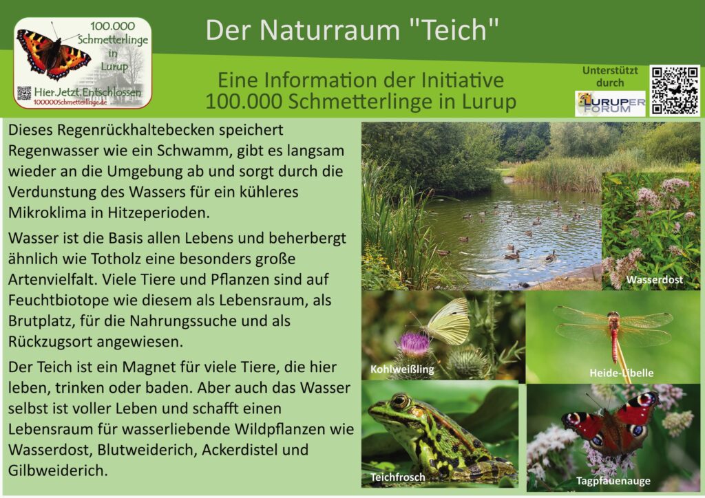 21: Der Teich