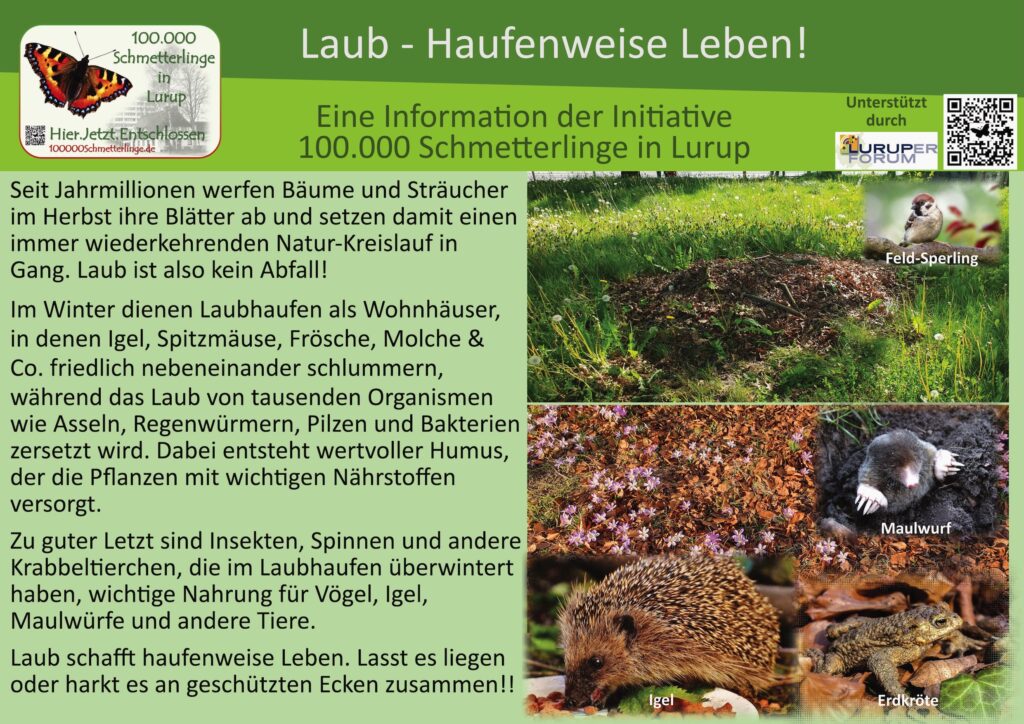 26: Das Laub
