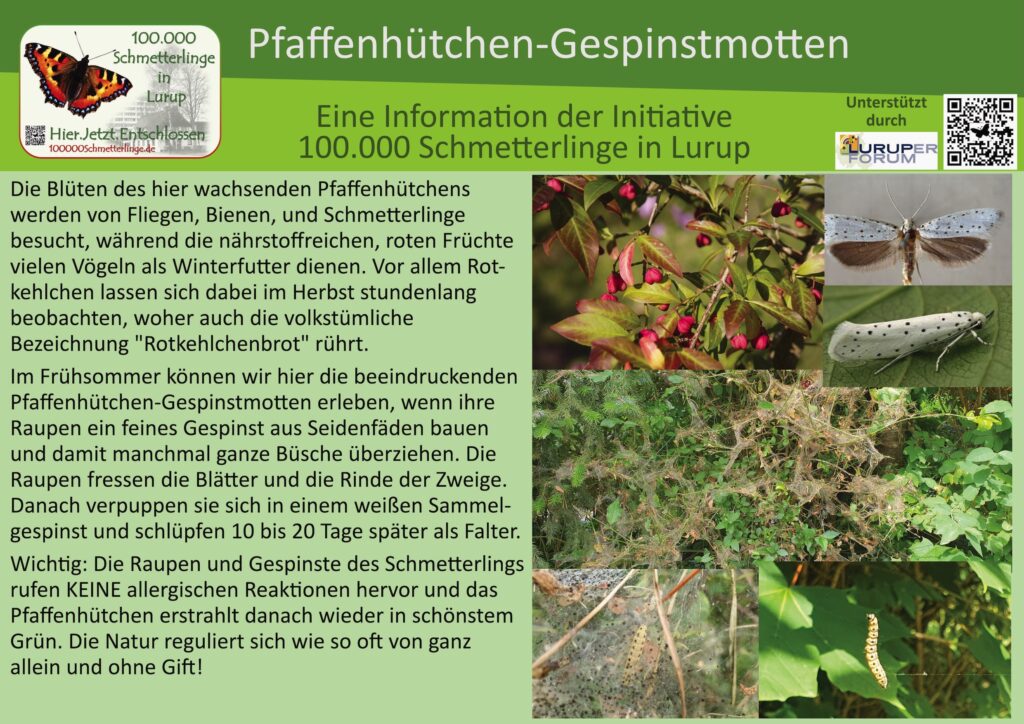 27: Gespinstmotten