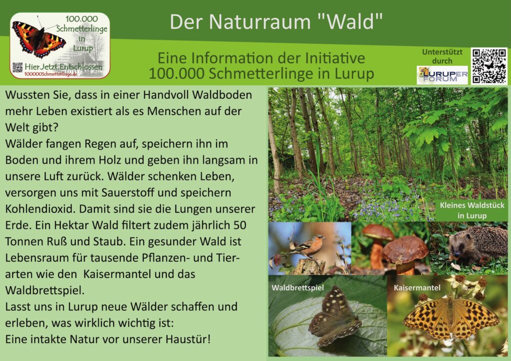 3: Der Wald