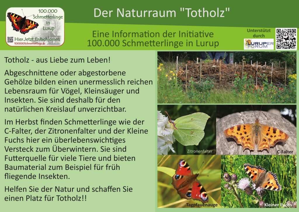 9: Das Totholz