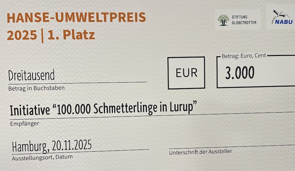 Hanse Umweltpreis 2025 Preisgeld