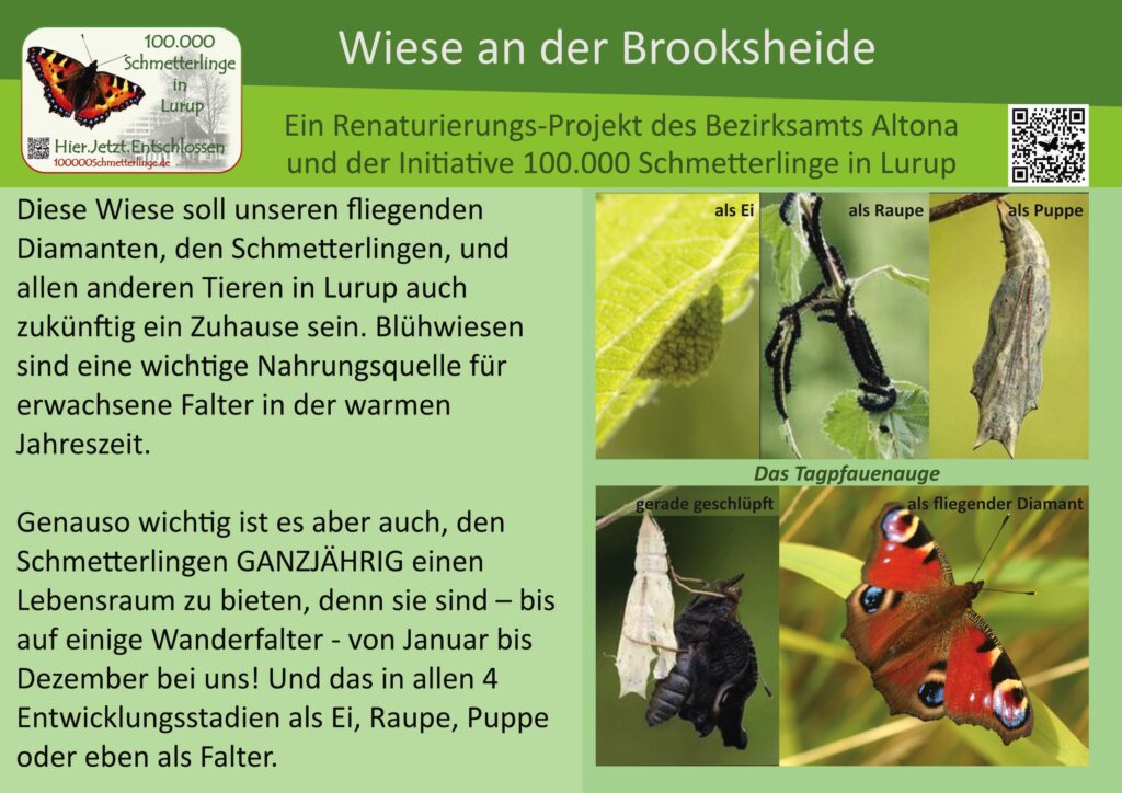 Schild 30 Flaßbarg Wiese an der Brooksheide