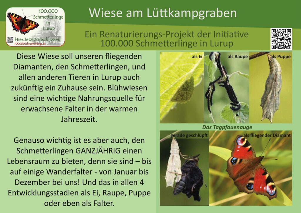 Schild 30 Wiese am Lüttkampgraben