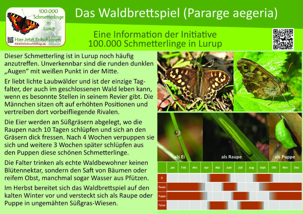 Schild 32 Waldbrettspiel