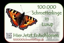 Karussell_Hier_Jetzt_Entschlossen