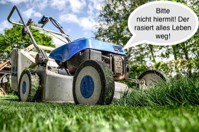 lawn-mower-mit_Text